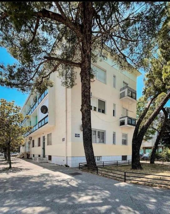 Apartment Music-Center, In The Center Of Подгорица Екстериор снимка